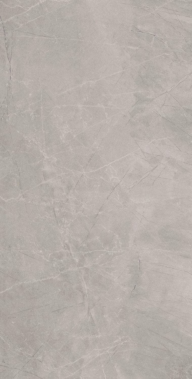 Bayona Silver Polished 120x240 rett