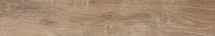 Nebraska Elm 9,8x59,3