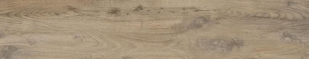 Nebraska Elm 23x120