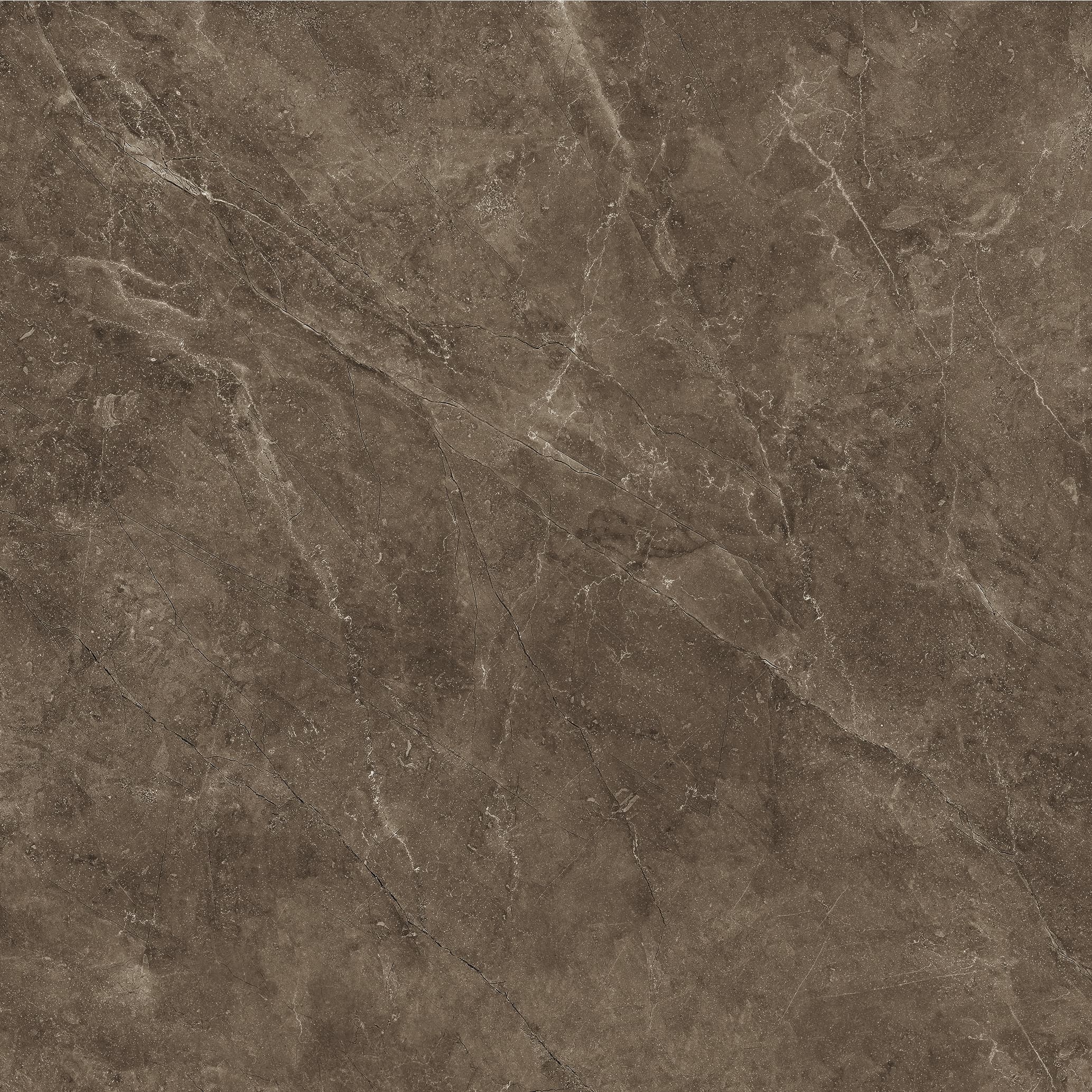 Bayona Moka Pulido 120x120 rett