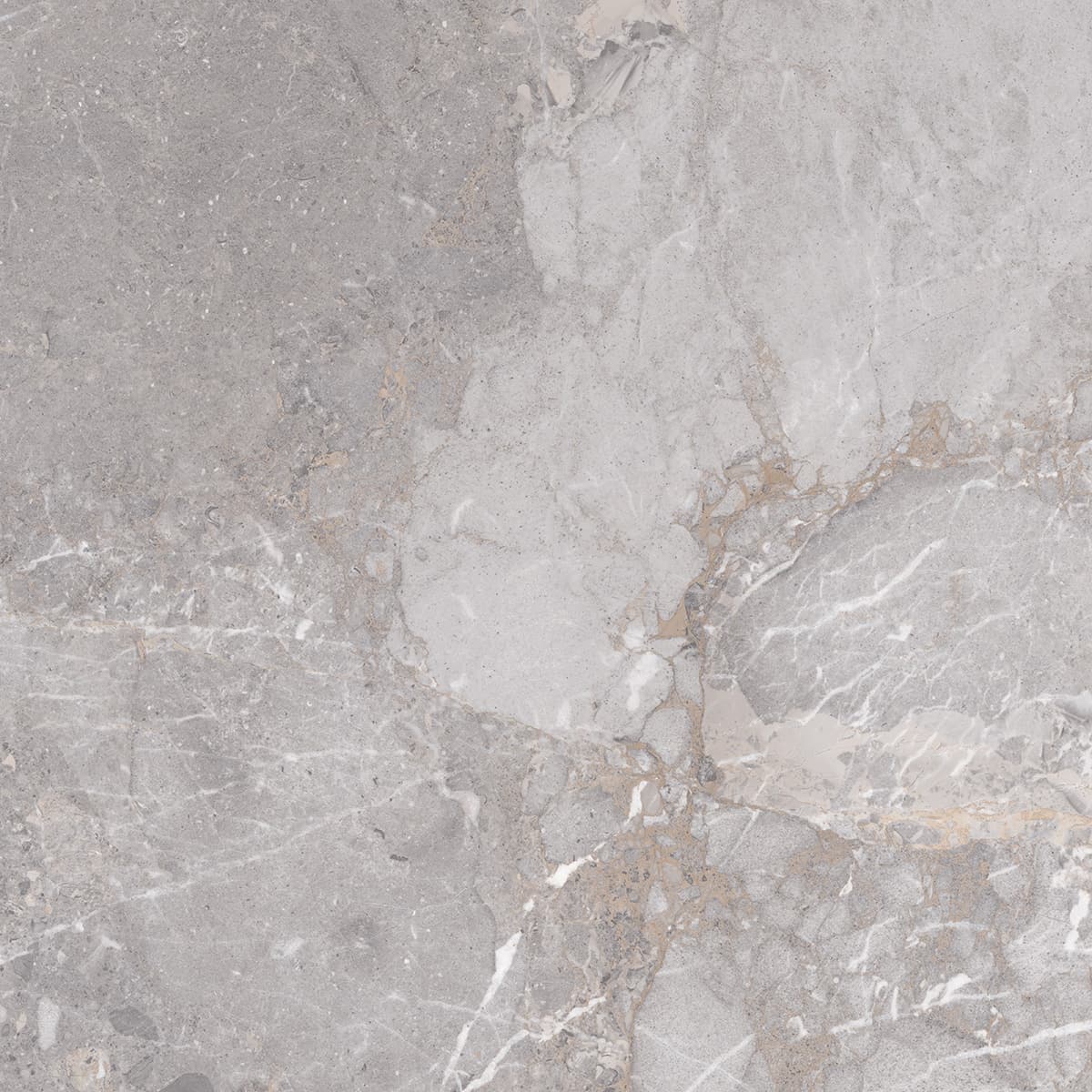 Golden Age Grey 60x60 rett