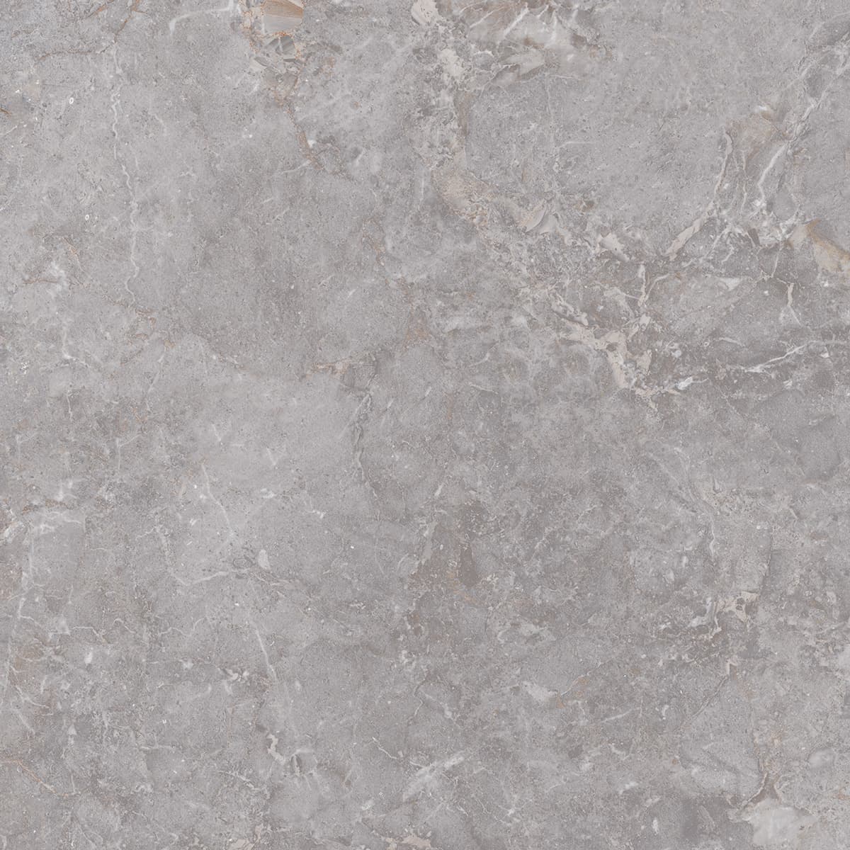 Golden Age Grey 60x60 rett - afbeelding 2