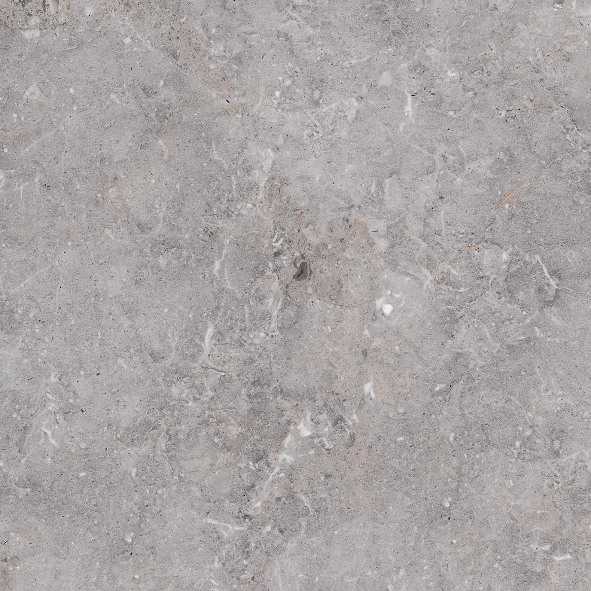 Golden Age Grey 60x60 rett - afbeelding 3