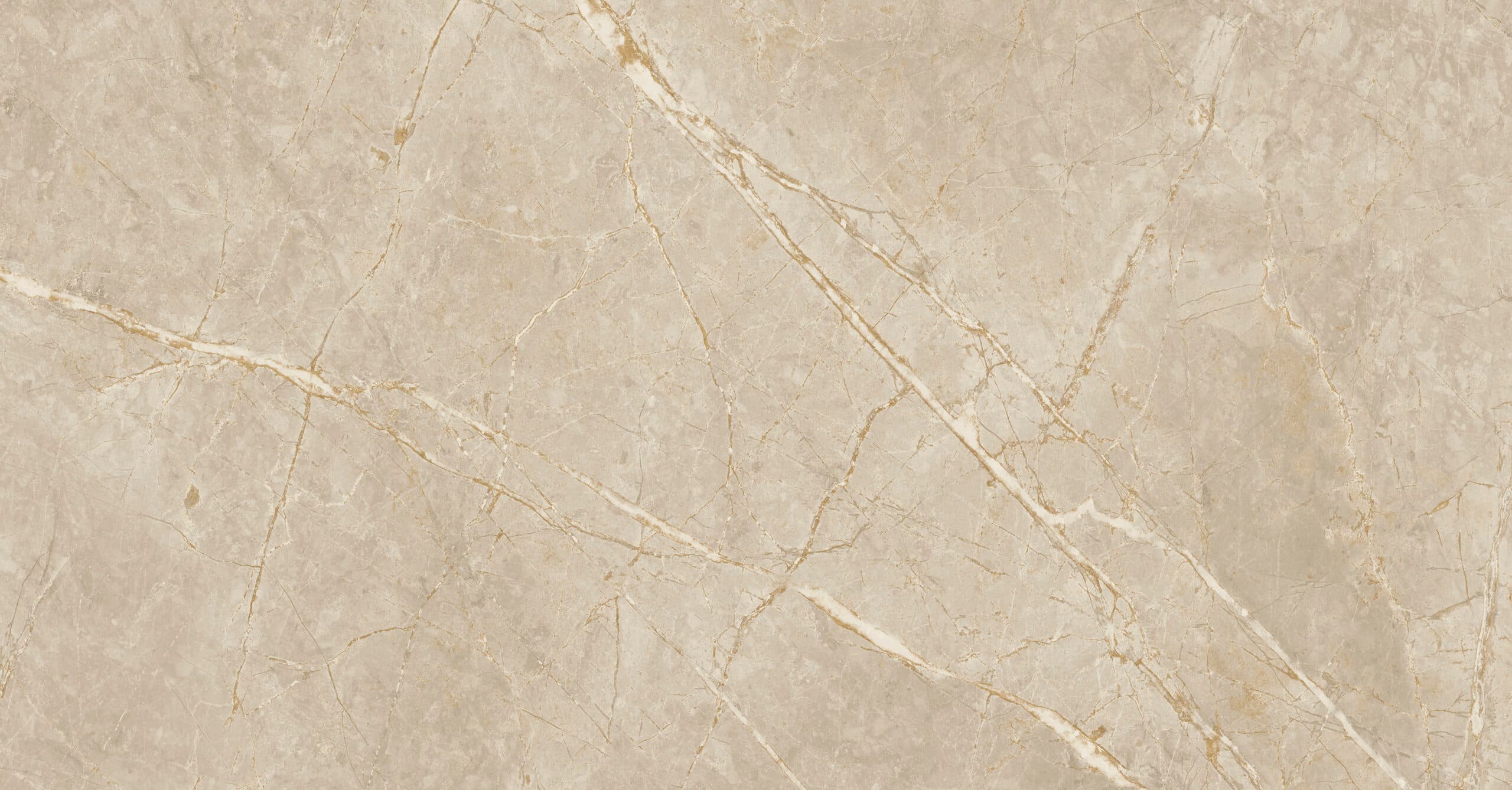 Syrah Ivory mat 30x60
