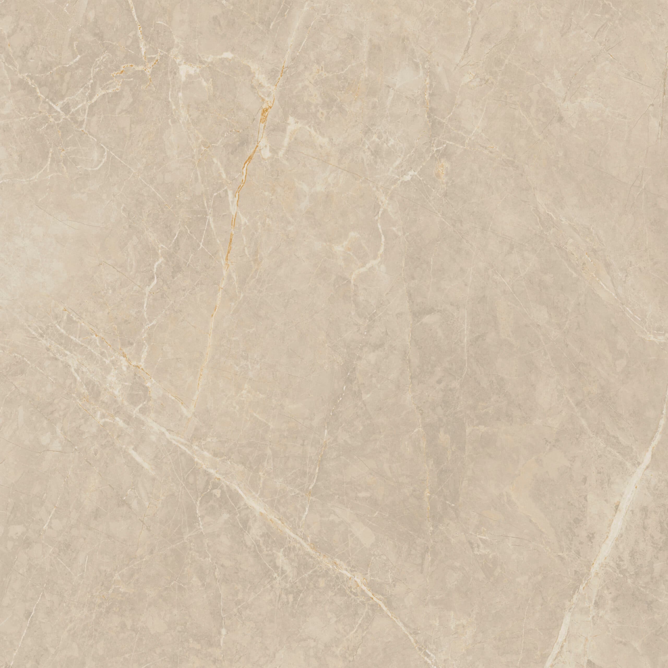 Syrah Ivory mat 60x60 rett