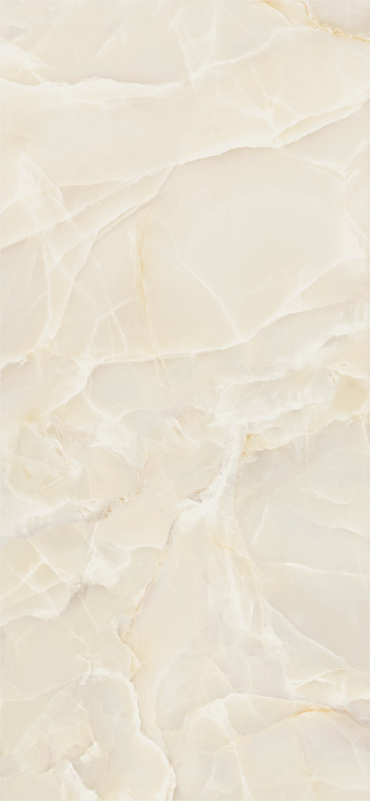 Onyx Sable polished 120x260 rett