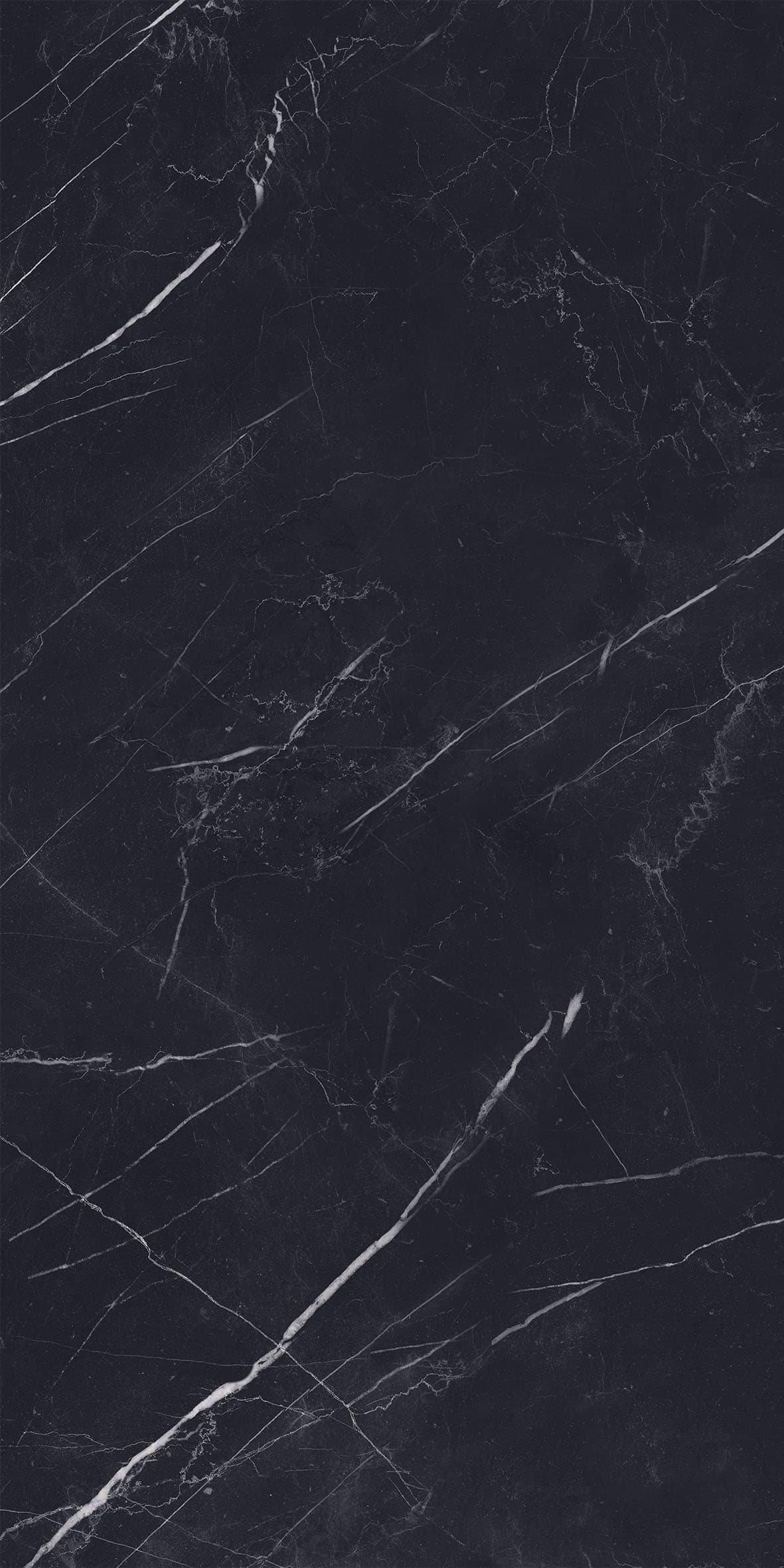 Marquina Black pulido 80x160 rett