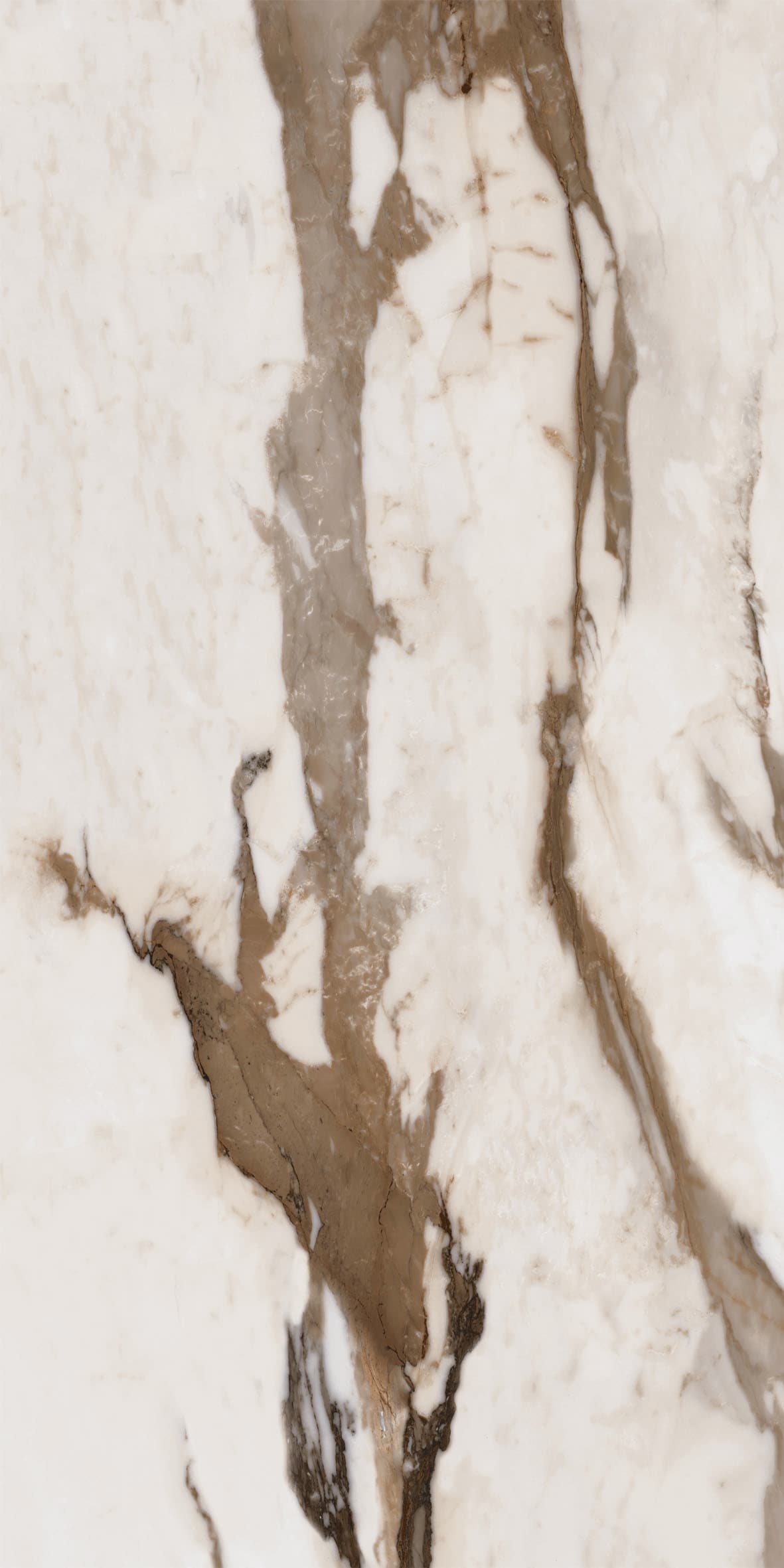 Calacatta Gold pulido 60x120 rett