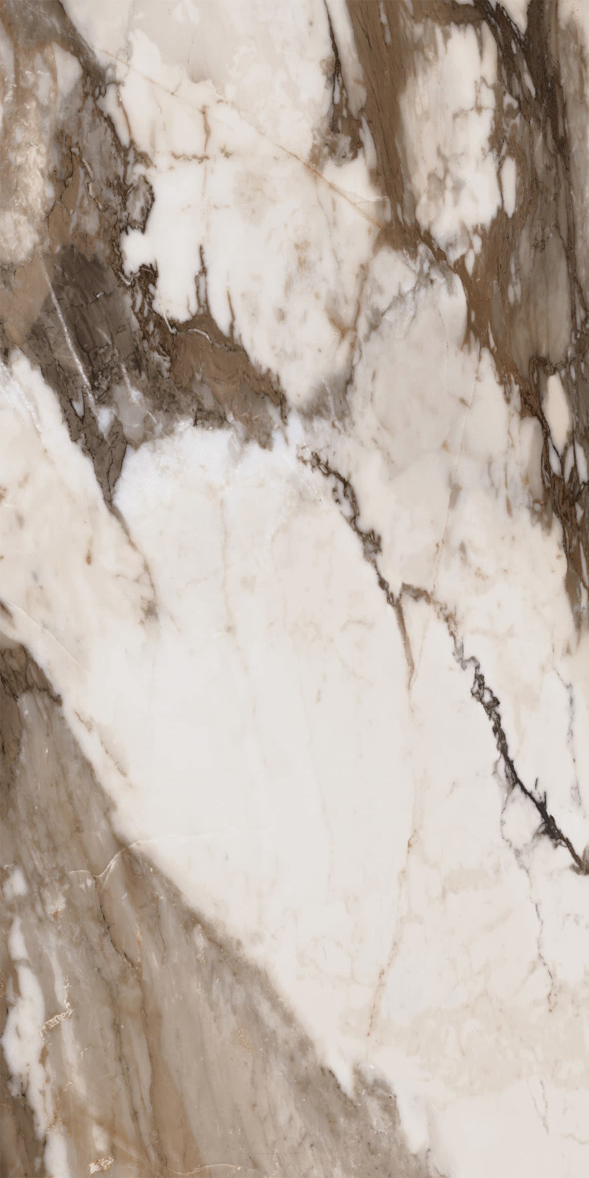 Calacatta Gold pulido 80x160 rett
