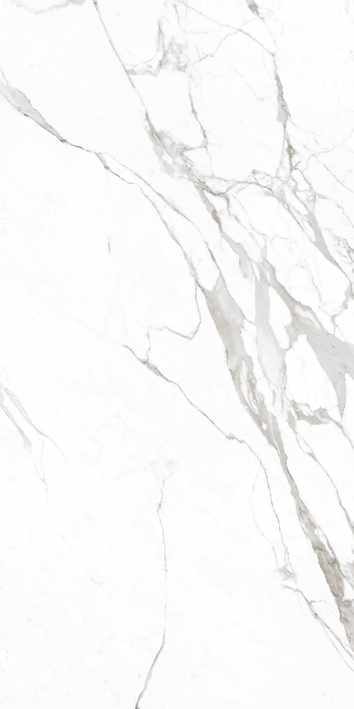 Statuario Superiore mat 60x120 rett - afbeelding 2