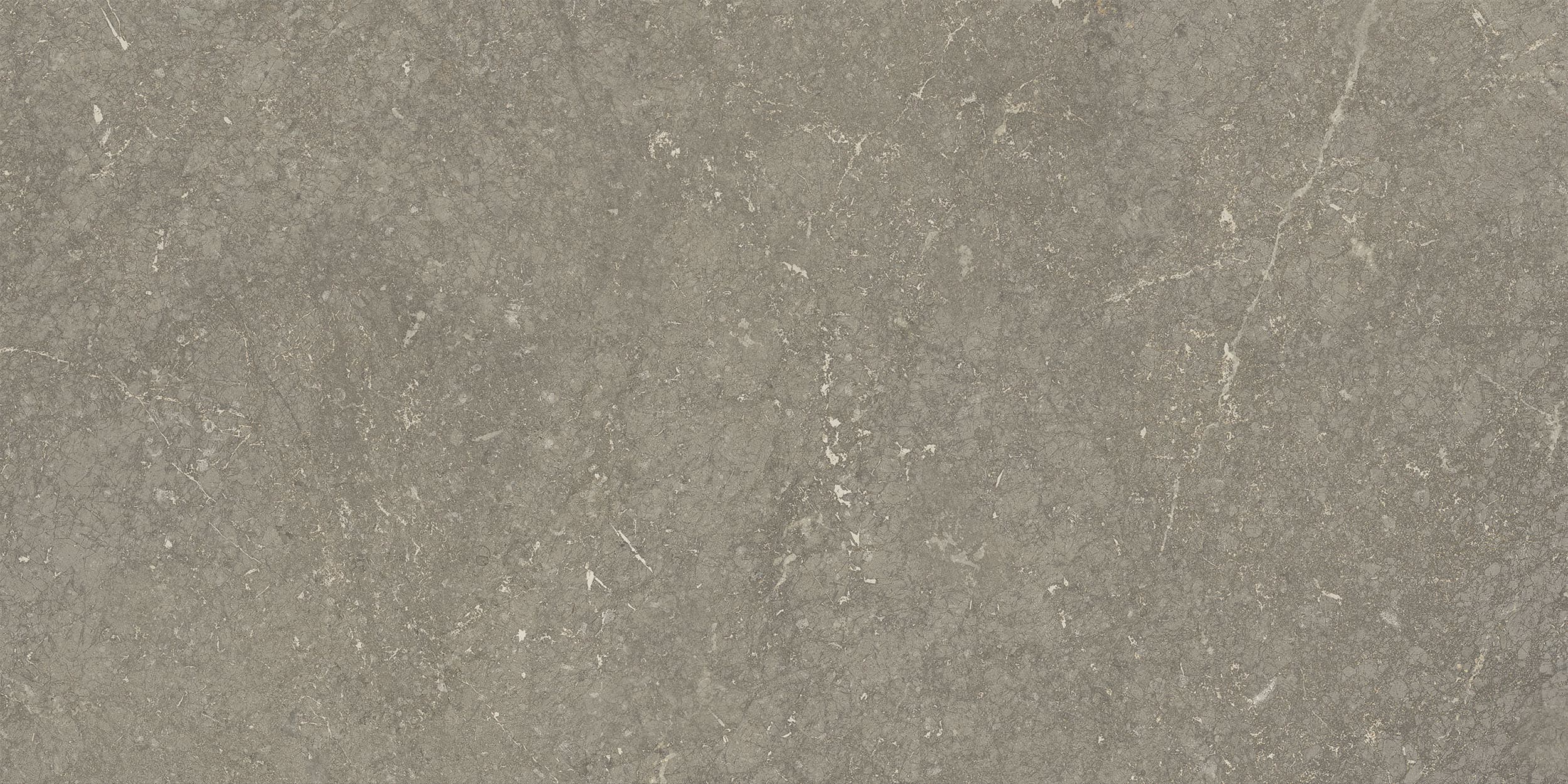 Munich Taupe wandtegel 25x50