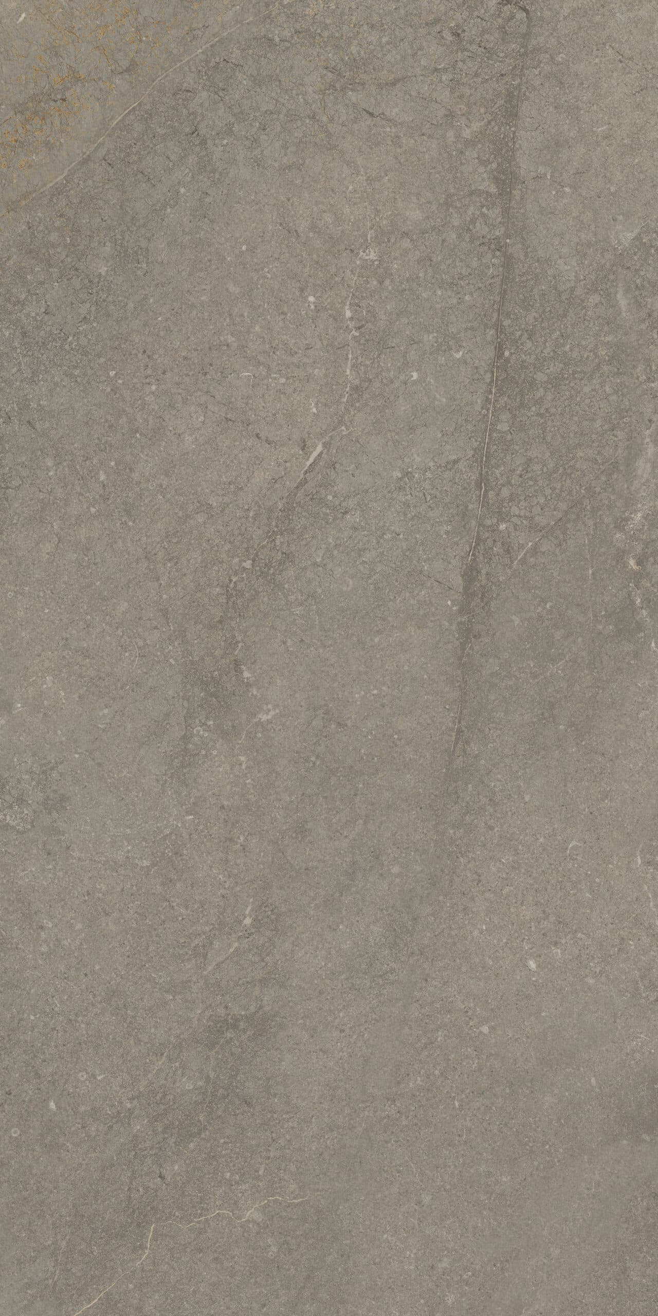 Munich Taupe 60x120 anti-slip rett