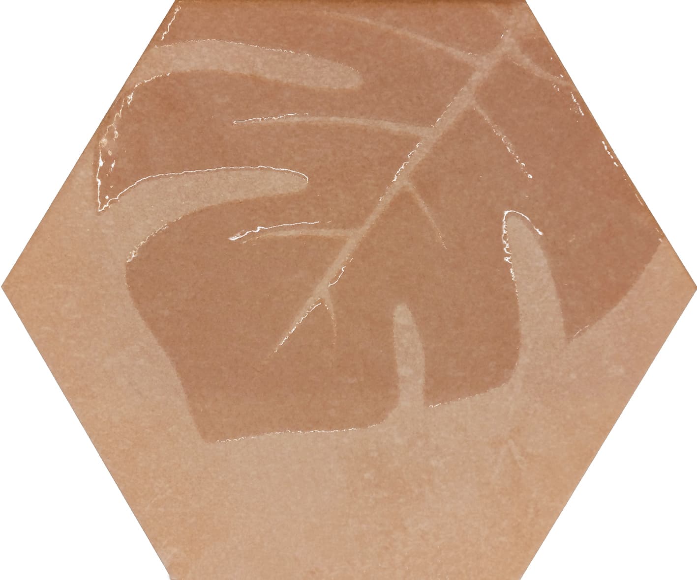 Beton Cire Bercy Terra hexagon decor 20x24