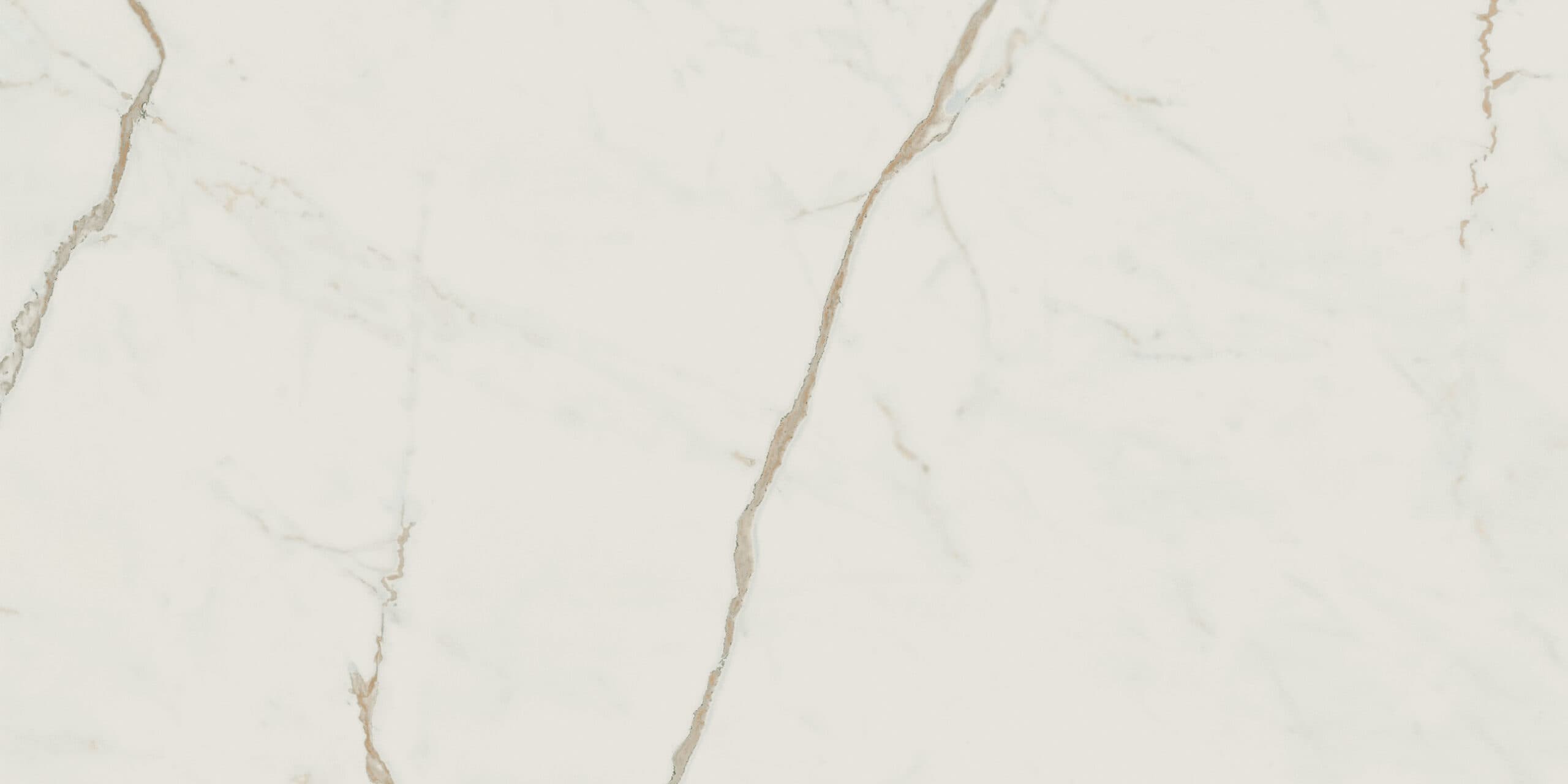 Exigo Calacatta gepolijst 30x60 rett