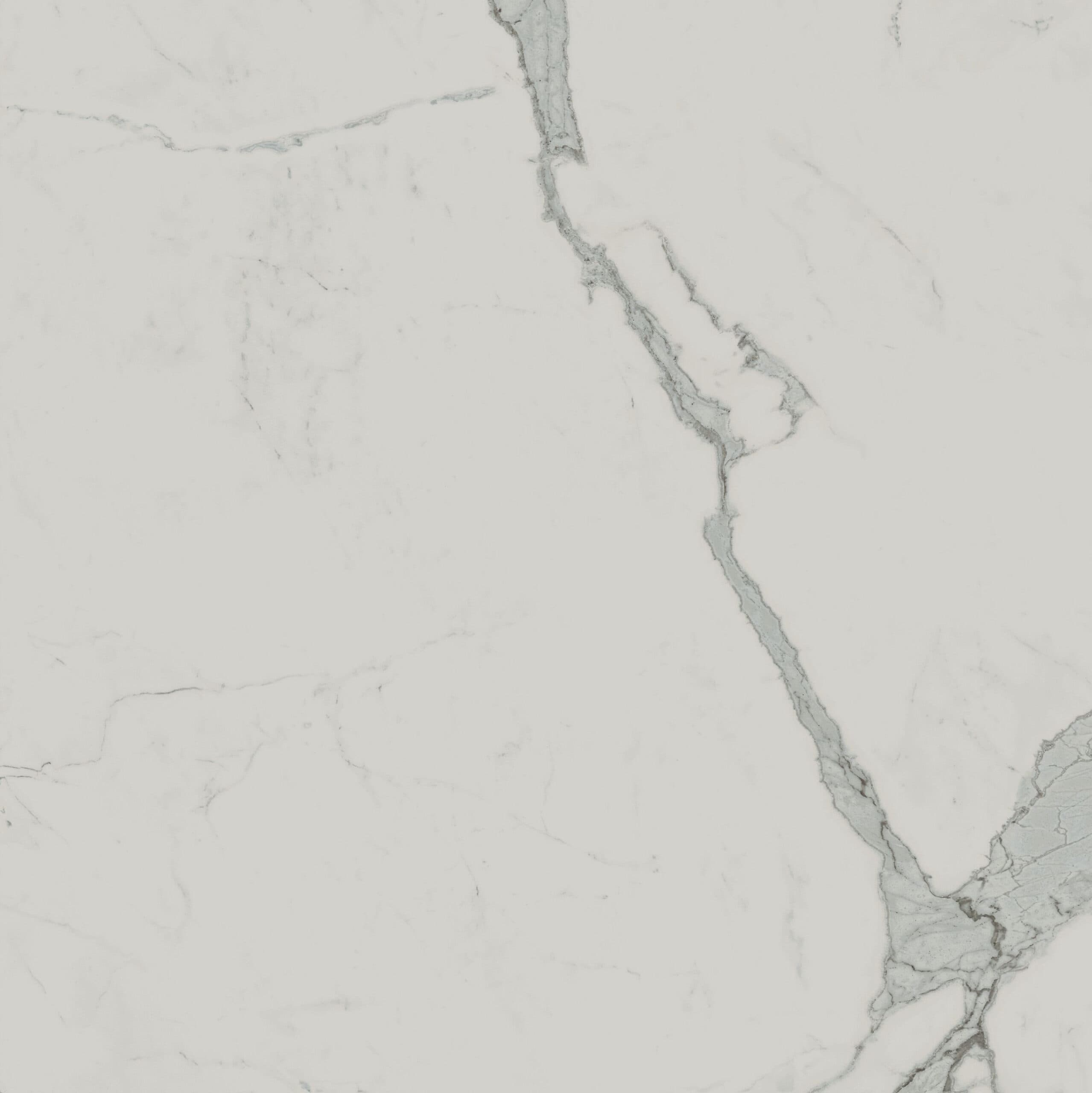 Exigo Statuario gepolijst 60x60 rett