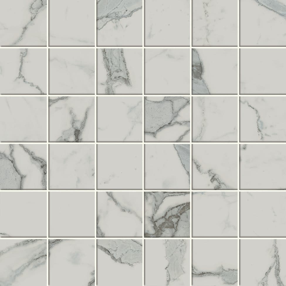 Exigo Statuario mat mozaiek 5x5 op net van 30x30
