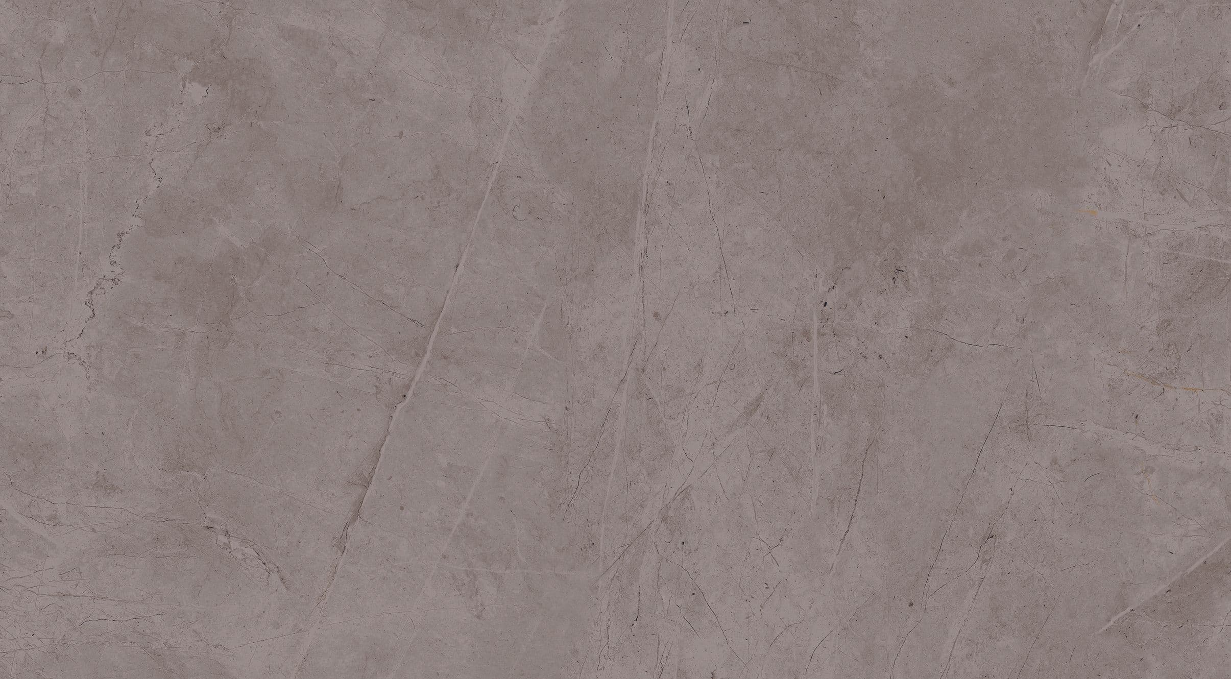 Exigo Jolie Grey wandtegel gepolijst 30,5x56 rett