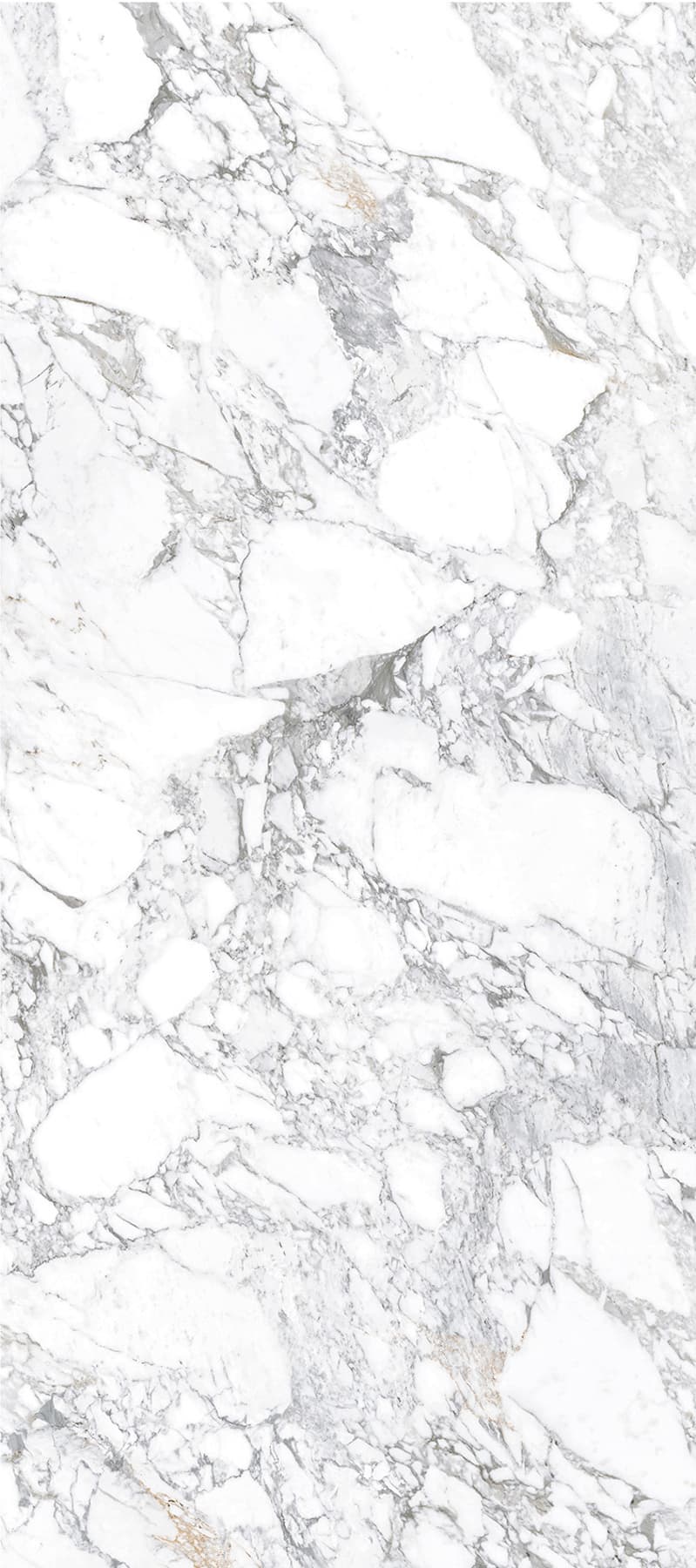 Arabescato gepolijst 120x280 rett