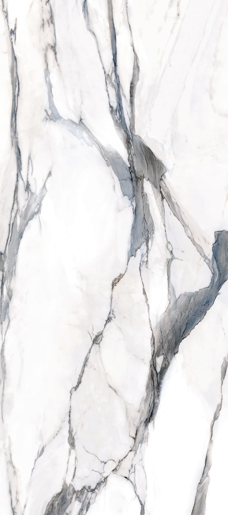 Calacatta Oceanic mat 30x60 rett